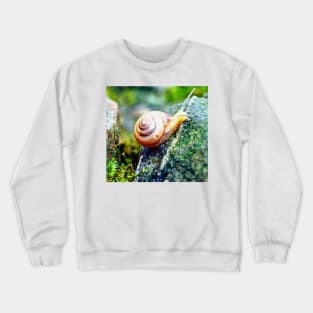 Garden Snail Crewneck Sweatshirt